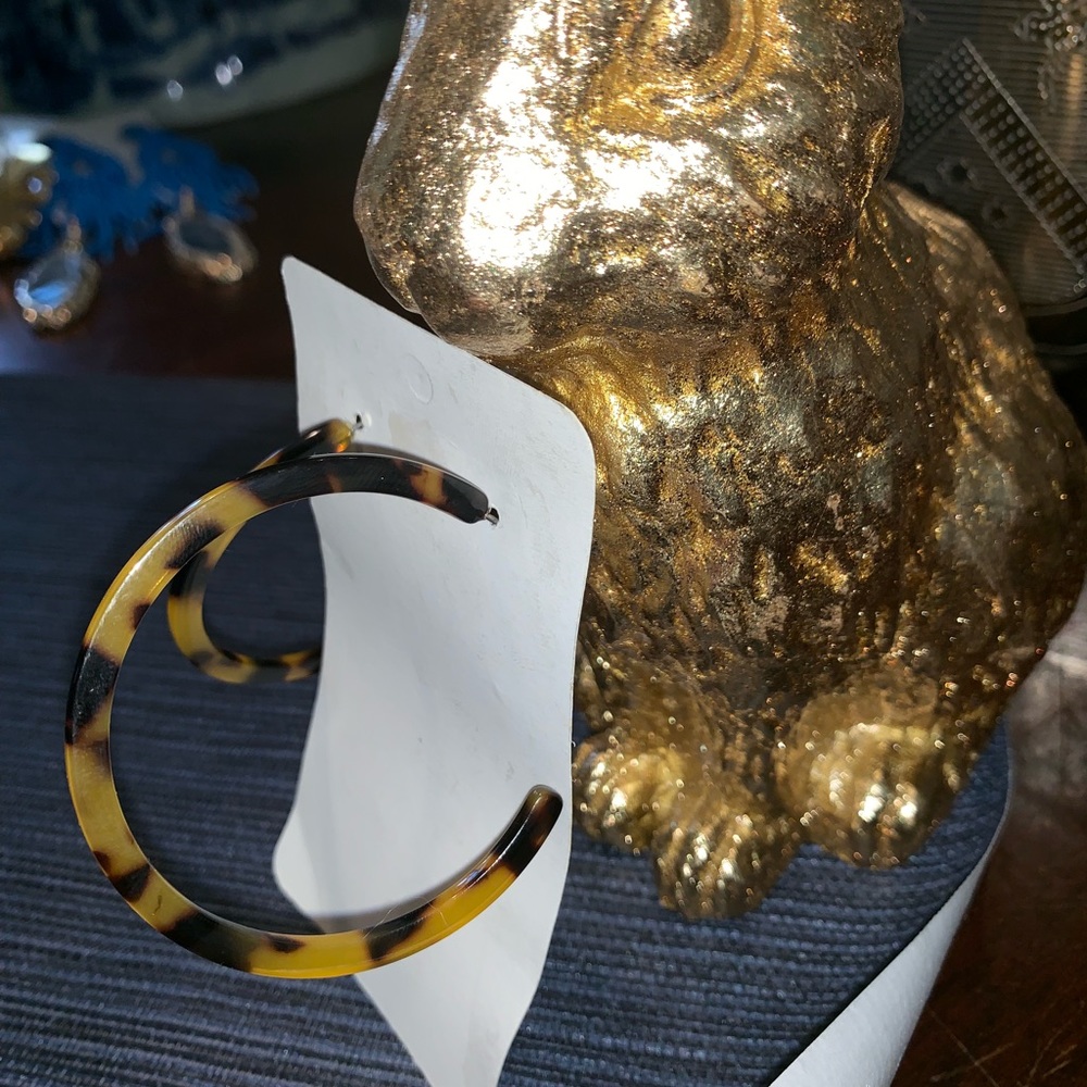 Tortoise Hoops - Picture 2 of 2